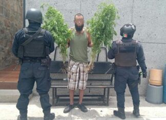 Policía Municipal asegura a masculino con plantas de mariguana.