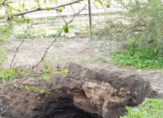 PROTECCIÓN CIVIL Y BOMBEROS ATIENDE EL REPORTE POR LA FORMACIÓN DE DOS HUNDIMIENTOS EN TIERRAS DE CULTIVO EN LA COMUNIDAD LOS AGUIRRE.