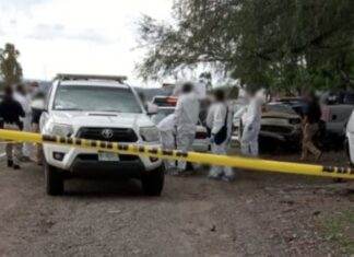 Asesinan a hombre en la población de La Palma del municipio de Cuitzeo
