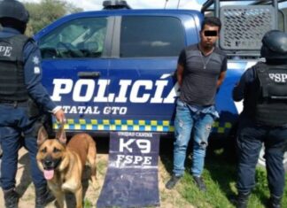 FSPE logró asegurar en distintos hechos a un hombre y una mujer en posesión de 32 dosis de droga en Silao