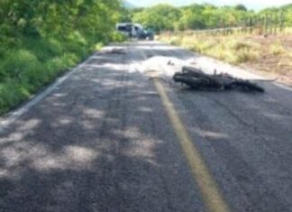 Padre e hijo murieron cuando con su moto chocaron contra una camioneta