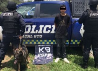 La Unidad Canina K9 de las Fuerzas de Seguridad Pública del Estado, logró asegurar a un hombre que estaba en posesión de cinco dosis de la droga