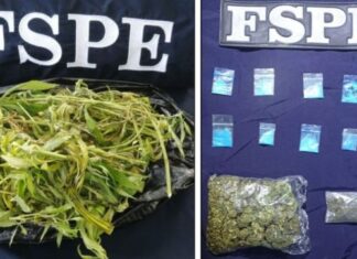 Fuerzas de Seguridad Pública del Estado aseguraron 277 dosis de varias drogas en distintos municipios