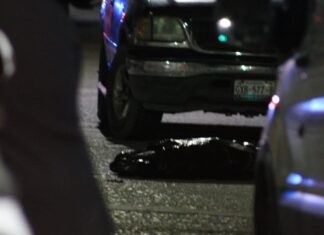 Localizan restos humanos en la colonia Coecillo en León