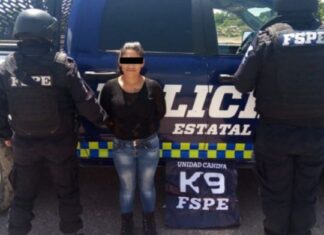 Fuerzas de Seguridad Pública del Estado, detuvieron a una mujer con más de160 dosis de droga en León