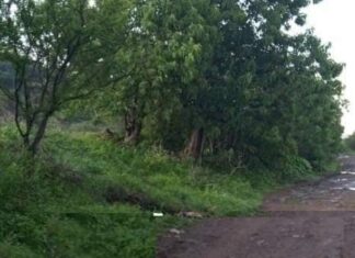 Encuentran a masculino calcinado