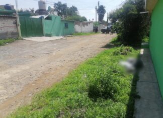 Ejecutan a un hombre en la comunidad Loma de San Antonio en Salamanca