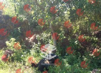 Encuentran cadáver de un hombre en La Loma en Valle de Santiago