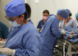 El programa de Medicina Veterinaria y Zootecnia recibe acreditación de los CIEES.