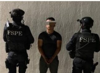 La SSP en coordinación con la FGE detuvieron a siete sujetos presuntamente integrantes de un grupo delictivo en Apaseo el Grande