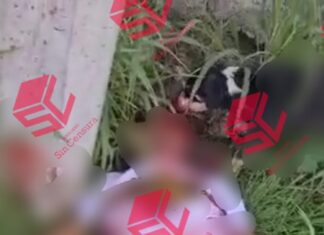 UN HOMBRE FUE EJECUTADO EN EL MUNICIPIO DE APASEO EL GRANDE