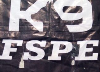 Elementos de la Unidad Canina K9 aseguraron un arma de fuego en la colonia Vista hermosa en León