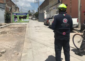 Dos hombres fueron picados al menos 50 veces por abejas en un lote baldío que limpiaban en la colonia La Florida en León