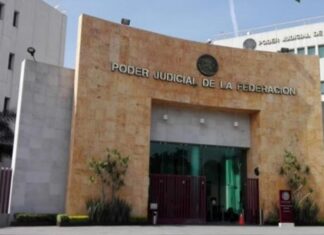 Juez condena a integrantes de una banda por posesión de 230 kilos de marihuana en Irapuato