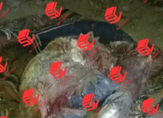 Localizan el cuerpo sin vida de una persona envuelto en una cobija en La Magueyera, en Valle de Santiago.