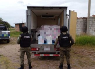 Efectivos de la FSPE recuperaron dos vehículos de carga reportados como robados; esto en los municipios de Cortazar y San Miguel de Allende