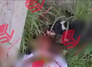 Sin vida y con visibles huellas de violencia encontraron a joven qué horas antes fue levantado en Acambaro.