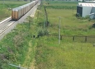 El cuerpo de un hombre fue encontrado cerca de las vías del tren en la carretera Salamanca-Irapuato