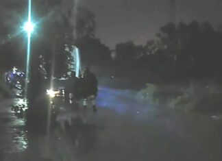 Un hombre fue ejecutado al interior de su domicilio en la colonia Villa Salamanca 400