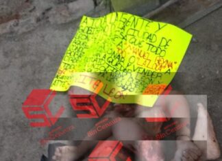 Localizan restos humanos en bolsas plásticas en la colonia San José el Alto en León