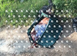 Localizan restos humanos en bolsas plásticas en la colonia Rinconada San Miguel en Celaya