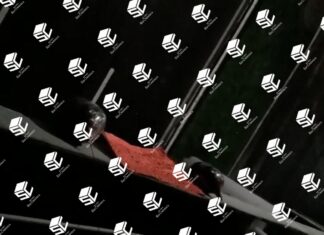 Localizan restos humanos envueltos en plásticos en León