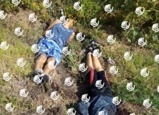 Fueron localizados los cuerpos de dos hombres en la comunidad El Salitre en Cortazar