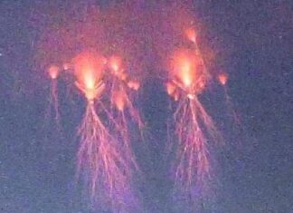 ¿Qué son esas misteriosas luces en el cielo que se vieron durante el sismo?