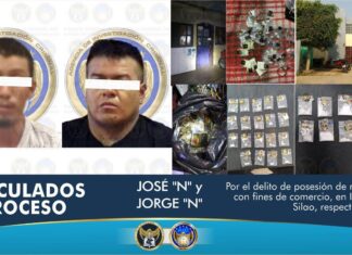 Derivado de indagatorias realizadas por elementos de la AIC, se ubicaron puntos de venta de droga en los municipios de Irapuato y Silao, donde se ejecutaron órdenes de cateo asegurando cientos de dosis y se detuvo a dos sujetos