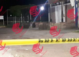 Dos hombres y una mujer fueron ejecutados en hechos simultáneos en Yuriria- y Uríangato , respectivamente.