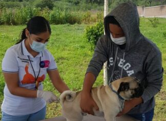 Del 19 al 25 de septiembre se llevará a cabo la jornada de vacunación antirrábica en Guanajuato