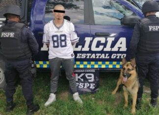 El efectivo Billy de la Unidad Canina K9 aseguró a un sujeto en posesión de 48 dosis de distintas drogas