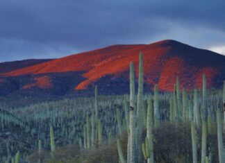Comienza el VIII Simposio sobre conservación de ecosistemas de montaña en México, en la la UG