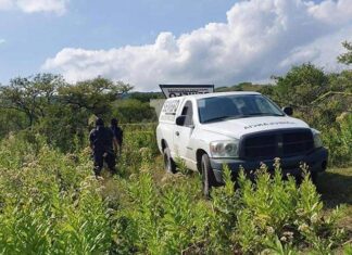 Encuentran cadáver decapitado en #Huandacareo