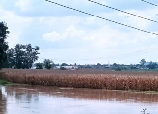 Se realizan recorridos de proximidad y disuasión del delito en zonas aledañas a cuerpos de agua en Salamanca.
