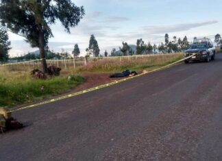 Dos cadáveres desmembrados fueron encontrados la mañana de este domingo