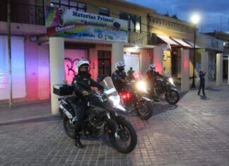 En una semana, la Policía de León detiene a 15 personas por atentar contra el patrimonio de la ciudadanía