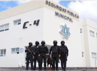 LOGRA IMPORTANTES RESULTADOS GRUPO TÁCTICO DE LA SECRETARÍA DE SEGURIDAD PÚBLICA