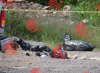 Localizan restos humanos en el bulevar José Maria Morelos en León