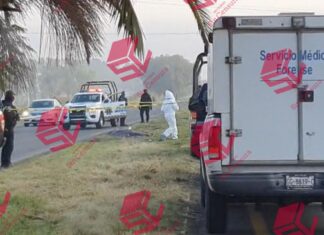 Un adulto mayor perdió la vida luego de ser atropellado por un vehículo en la carretera Celaya-Comonfort