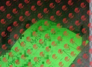 Fueron localizados restos humanos en la colonia Rinconada San Miguel en Celaya