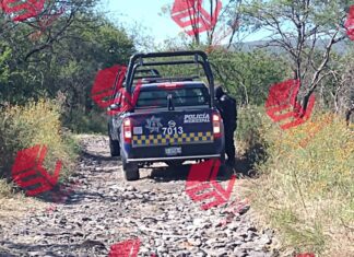 Localizan el cuerpo de un hombre en el camino a la comunidad El Sabino en Celaya