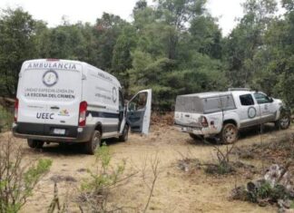 Los cuerpos de dos hombres maniatados y torturados fueron encontrados en #Huandacareo