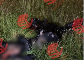 Localizan restos humanos y dos cadáveres en Prolongación Irritación en Celaya