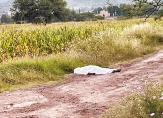 Ejecutan a un hombre en la comunidad Acebuche en Tarimoro