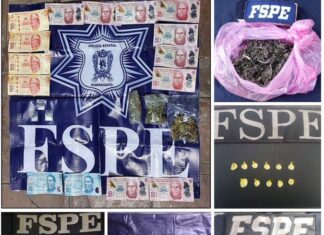 En una semana, el Operativo Guanajuato Seguro detectó 8 tomas clandestinas y sacó de circulación más de 3 mil dosis de diversas drogas