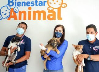 TIENEN NUEVO HOGAR 820 MASCOTAS RESCATADAS POR EL MUNICIPIO