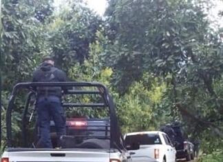 Encuentran hombre sin vida en una parcela en el municipio de #Cuitzeo