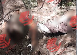 Localizan dos cuerpos en la comunidad Zapote de Covarrubias en Salamanca