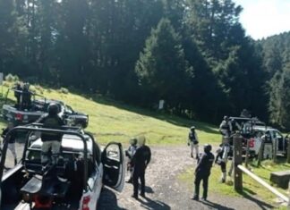 Policías revientan narcocampamento y encuentran a dos hombres descuartizados